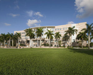 commercial landscaping west palm beach
