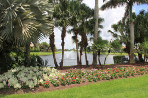 HOA landscape design West Palm Beach