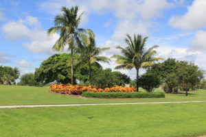 hoa landscaping West Palm Beach