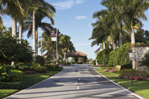 community landscaping services palm beach