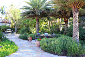 backyard landscapers west palm
