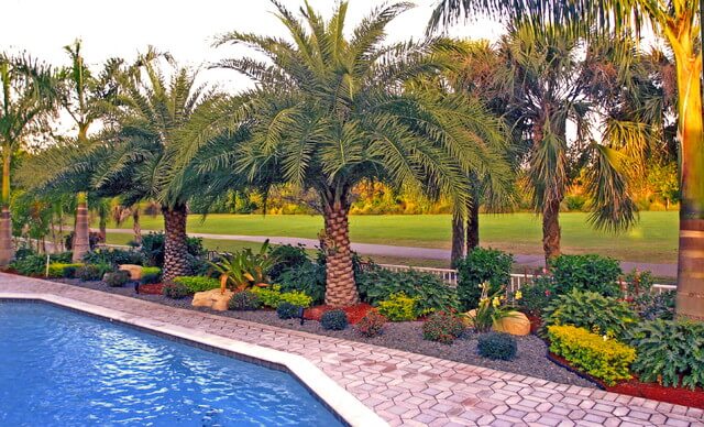 Commercial Landscape Company West Palm, Palm Beach Landscaping Design